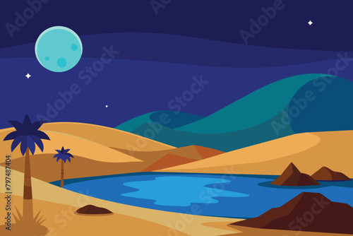 Desert oasis landscape at night vector design