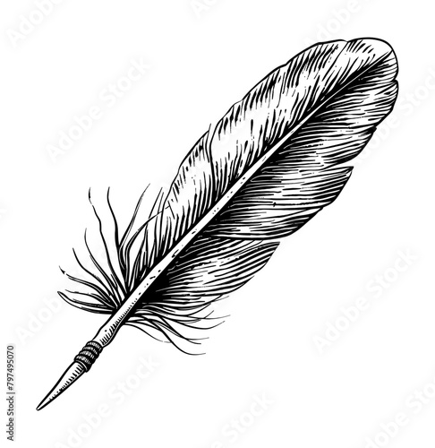 feather pen engraving black and white outline