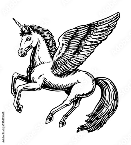 pegasus engraving black and white outline
