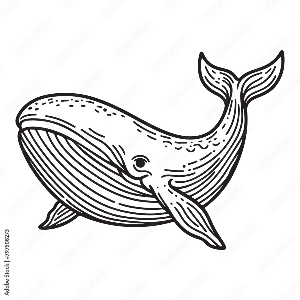 Naklejka premium Line art of whale cartoon vector