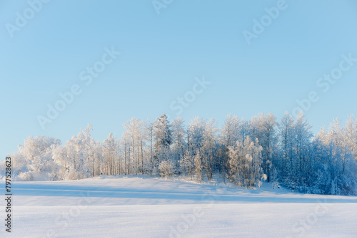 Winter time in the cultural landscape of Toten, Norway, in January. Image shot in the area between Kolbu Church and Gardlausstua. photo