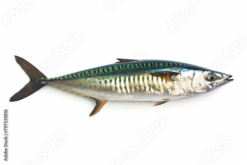 High-Resolution Side Profile Mackerel Photography: Shiny Gradient Scales on White Background
