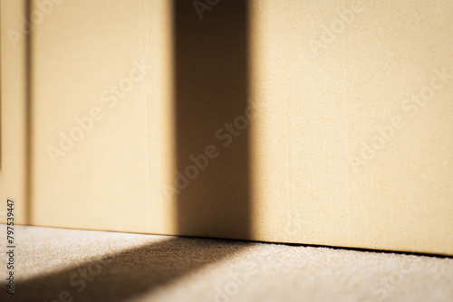 Blurry Window Shadow on Brown cardboard box on carpet floor,Background Box texture of recycle paper box with sunlight overlay on pattern for design art work