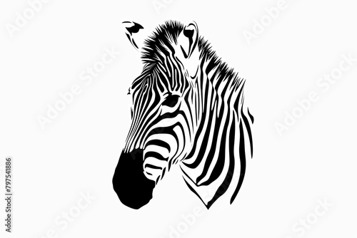 Zebra Head Line Drawing on White Background  Graceful and Minimalistic Silhouette