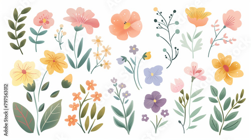 Soothing Flower Illustration