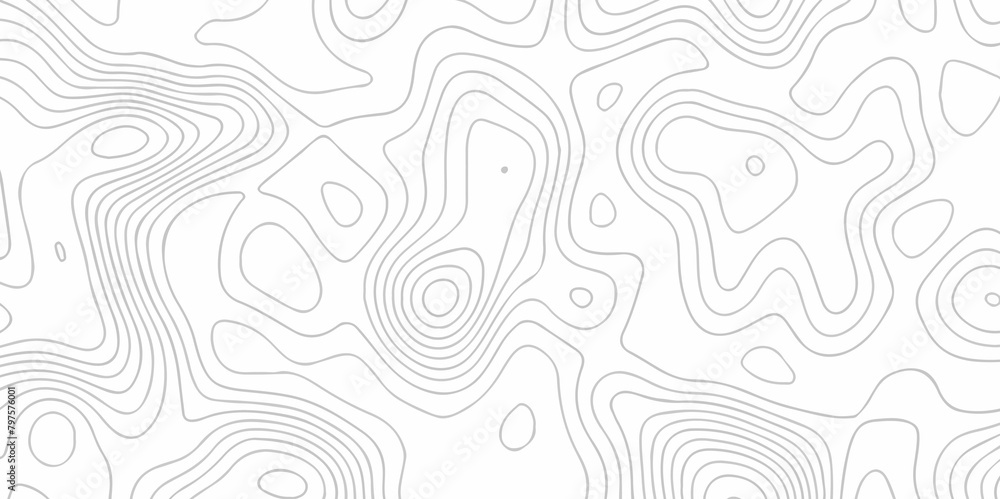 White wave paper curved reliefs abstract background. The topographic map contour in lines isolated. Abstract white topographic map background with lines. Background of the topography map.