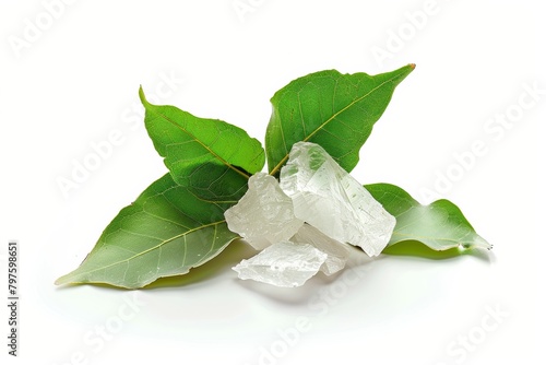 camphor for aroma therapy on aroma lamp for cosmetics, spa, health, nature concept