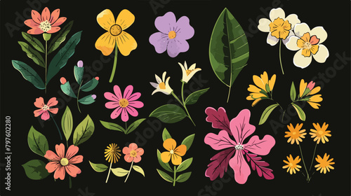 Spring flowers and leaves - different types of flower
