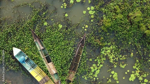 Cinematic rotating view from top several canoes parked at the swamp photo