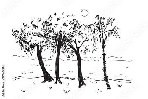 Panoramic view of beech trees and calm sea, ink sketch hand drawn vector illustration of seaside with palm, tree, water, sun, marine motive. Abstract coast landscape, Line art. Travel, nature vacation