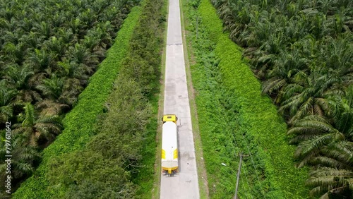 Aerial view of truck running in the middle of oil palm fields. oil palm plantation. truck running in the middle of the forest