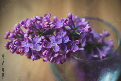 A branch of lilac in a transparent vase with drops of morning dew. Close up of small lilac flowers