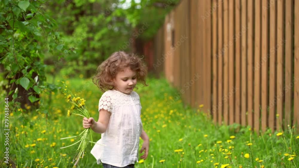 Curly little girl throwing dandelions flowers Curly little girl throwing dandelions flowers