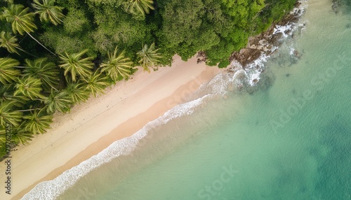 Aerial view of serene beach with lush foliage and turquoise waters