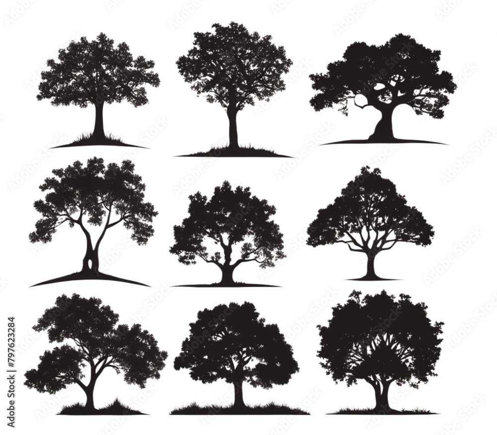 Fototapeta premium Tree Silhouettes Set – Black Nature Trees Isolated on White Background