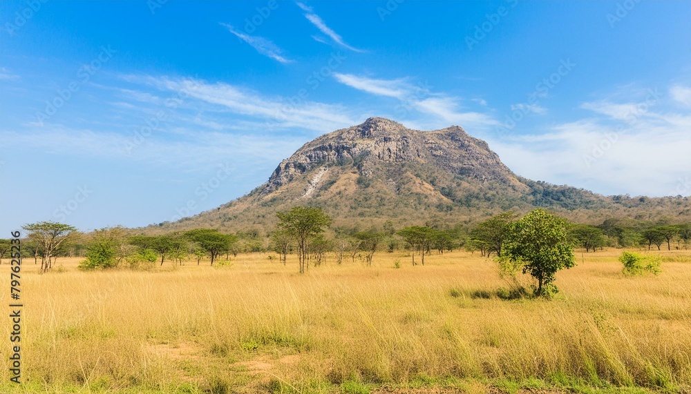 Naklejka premium African savanna with mountain in national wild park