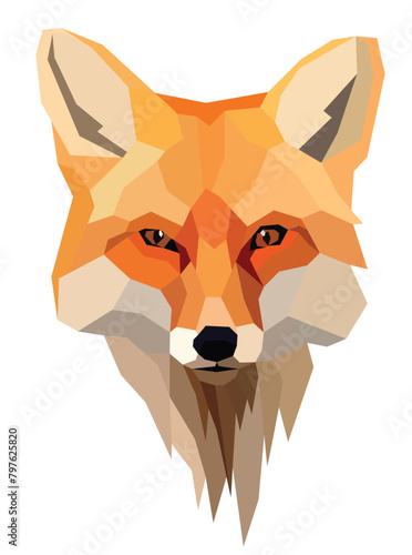 An beautiful fox head on white Not IA