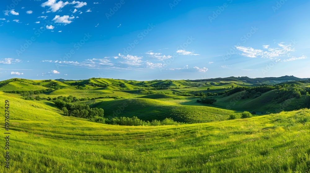 A panoramic view of a lush green field under a clear blue sky, featuring rolling hills and vibrant vegetation