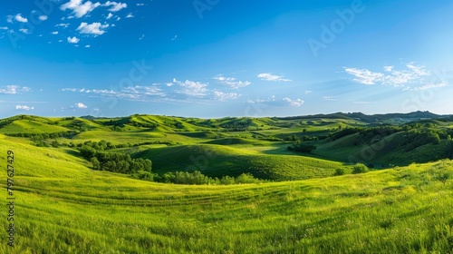A panoramic view of a lush green field under a clear blue sky  featuring rolling hills and vibrant vegetation