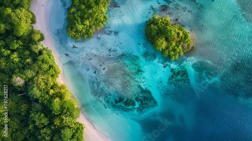 Aerial view showcasing a beach with palm trees and lush greenery, set against the backdrop of the turquoise ocean