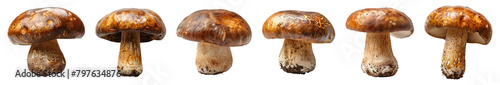 Boletus edulis mushroom PNG. Brown mushroom isolated. Boletus edulis mushroom top view PNG. Mushroom flat lay isolated photo