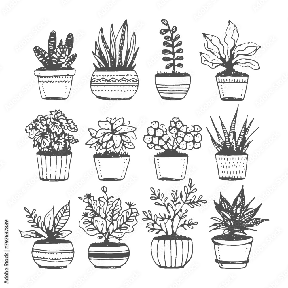 set of flowers in pots plant, flower, pot, cactus, nature, leaf, flowerpot, tree, vector, icon, garden, houseplant, decoration, set, illustration, botany, growth, silhouette, flora, gardening, design, set of flowers in pots plant, flower, pot, cactus, nature, leaf, flowerpot, tree, vector, icon, garden, houseplant, decoration, set, illustration, botany, growth, silhouette, flora, gardening, design,