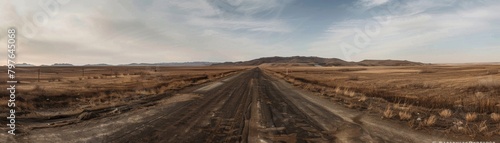 Wideangle shot of an empty road leading to nowhere  the dull browns of the barren landscape conveying a profound sense of forsakenness