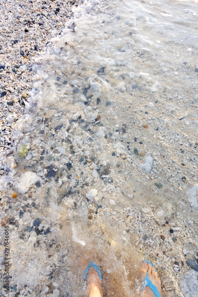 朝の阿嘉島、前浜(メーヌハマ)ビーチ。
最高に美しい白砂のビーチ。
サンゴが砕けてできた砂である。
場所によっては塊のサンゴの残骸が集まっていて、踏みしめるとソーダが弾けるようなシュワシュワとした金属質の高周波の美しい音がする。
日本国沖縄県島尻郡慶良間諸島の阿嘉島にて。
2021年4月28日撮影。
Menuhama Beach, Aka Island in the morning.
The mo 朝の阿嘉島、前浜(メーヌハマ)ビーチ。
最高に美しい白砂のビーチ。
サンゴが砕けてできた砂である。
場所によっては塊のサンゴの残骸が集まっていて、踏みしめるとソーダが弾けるようなシュワシュワとした金属質の高周波の美しい音がする。
日本国沖縄県島尻郡慶良間諸島の阿嘉島にて。
2021年4月28日撮影。
Menuhama Beach, Aka Island in the morning.
The mo