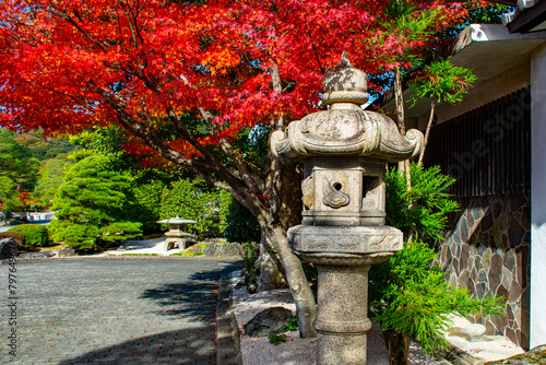 Wallpaper Mural Laterne, Japanischen Garten in Sakaiminato, Japan Torontodigital.ca