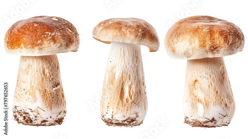 Fresh Cremini Mushroom Isolated on Transparent Background for Culinary Blogs and Healthy Food Articles