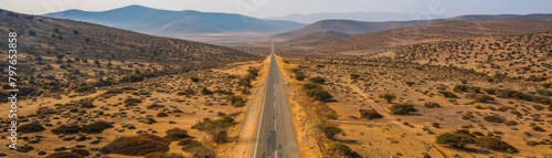 Aerial view of a desolate and forsaken empty road, the dull browns of the earth and sparse vegetation adding to the eerie atmosphere photo