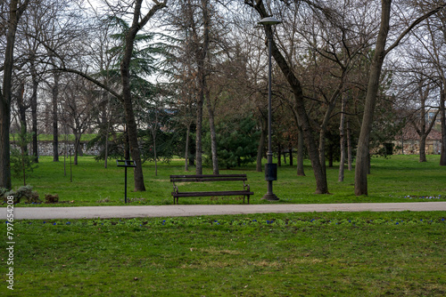 Fototapeta Naklejka Na Ścianę i Meble -  Brown benches for sitting in the city park surrounded by greenery and flowers. Benches for rest and relaxation. Next to the benches there are concrete paths for sitting and running.

