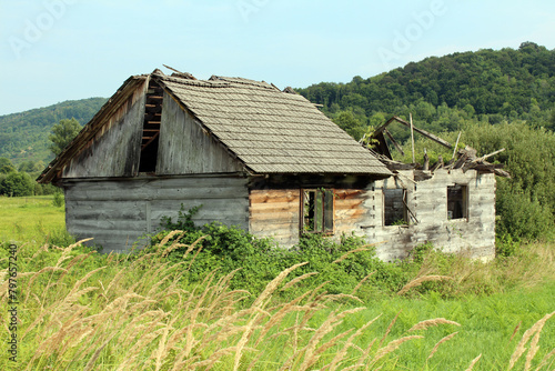 Vintage abandoned old dilapidated wooden family house with destroyed roof and broken windows surrounded with overgrown vegetation and tall uncut grass with dense forest on small hill in background