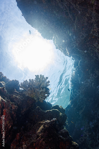 素晴らしいサンゴ礁にある水中洞窟。 頭上から日光の光線が差し込んで非常に美しい。 出口にはピンク色の美しい枝サンゴがあった。沖縄県島尻郡座間味村阿嘉島の外地島沖にて。 2021年4月28日水中撮影。An underwater cave on a wonderful coral reef. Very beautiful with rays of sunlight overhead. The
