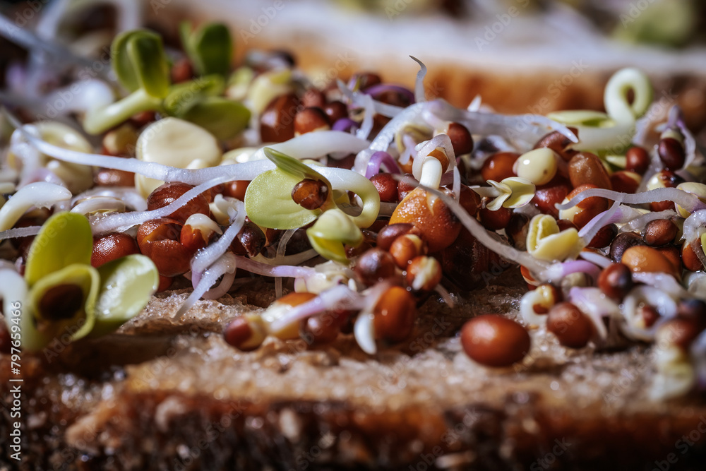 Mixed microgreens with cotyledons and roots on bread. A set of vitamins. Soft selective focus. Artificially created grain for the picture. Mixed microgreens with cotyledons and roots on bread. A set of vitamins. Soft selective focus. Artificially created grain for the picture.