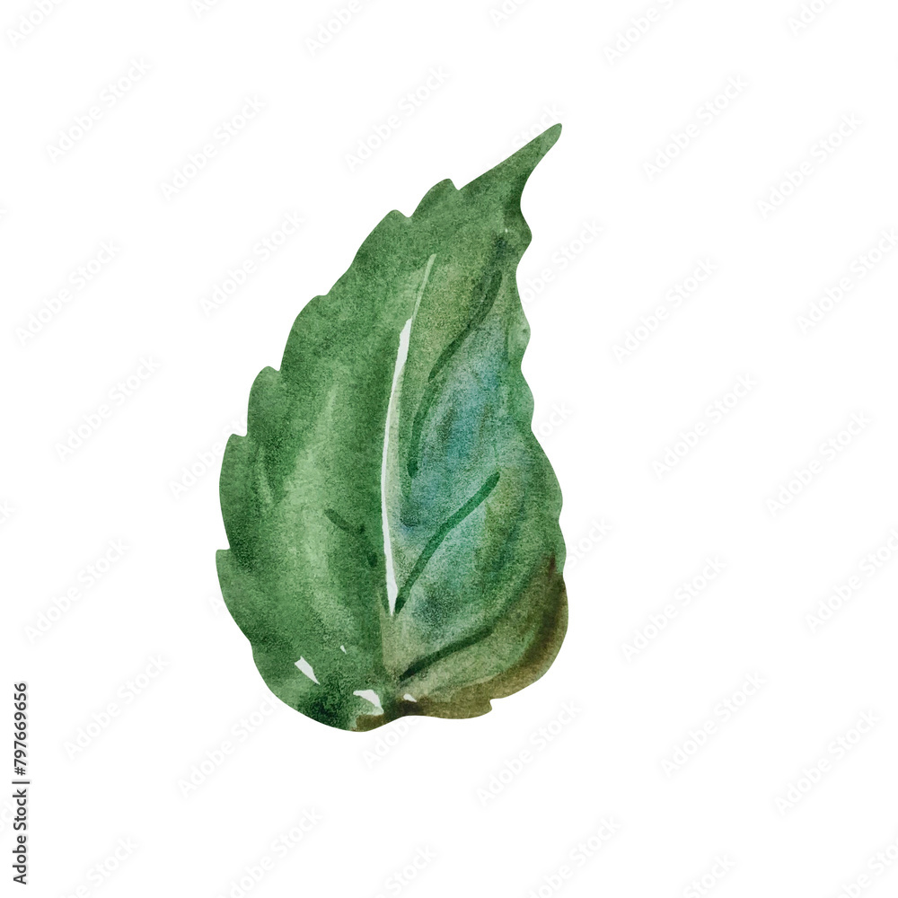 Naklejka premium Green big leaf watercolor, floral