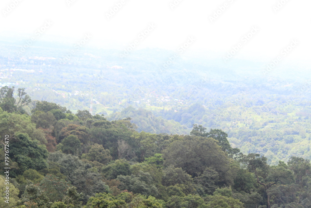 Fototapeta premium beautiful view with mountains and trees