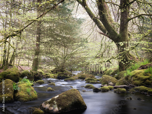 River in Dartmoor national park near burrator reservoir devon england uk