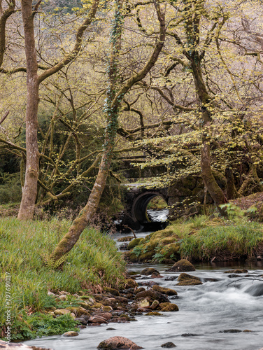 River in Dartmoor national park near burrator reservoir devon england uk