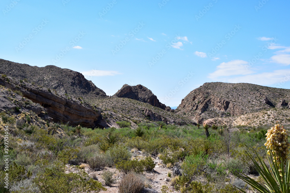 Rocky hills surrounded by green vegetation. Big Bend National Park, Texas, USA