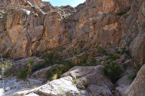 Rocky canyon with small plants growing on rocks. Big Bend National Park, Texas