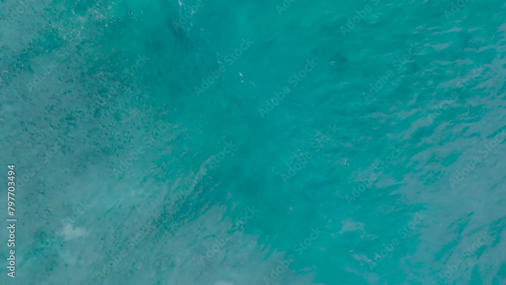 custom made wallpaper toronto digitalTop Down Slow Motion Drone View of turquoise clear water and crashing waves over shallow coral reef in Uluwatu Bali Indonesia. Clear water and abstract wave action.