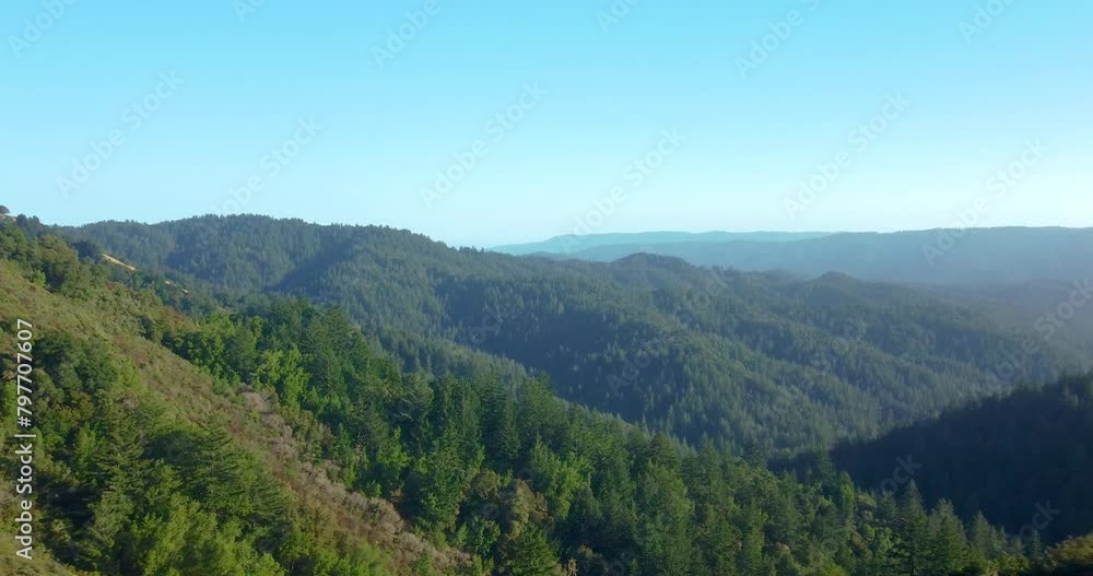 Skyline Ridge Open Space Preserve - Foggy Forest On Santa Cruz Mountains Near Palo Alto, California. aerial Skyline Ridge Open Space Preserve - Foggy Forest On Santa Cruz Mountains Near Palo Alto, California. aerial