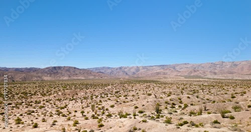Semi-arid Desert Landscape With Ocotillo Plants In California, USA. drone shot photo