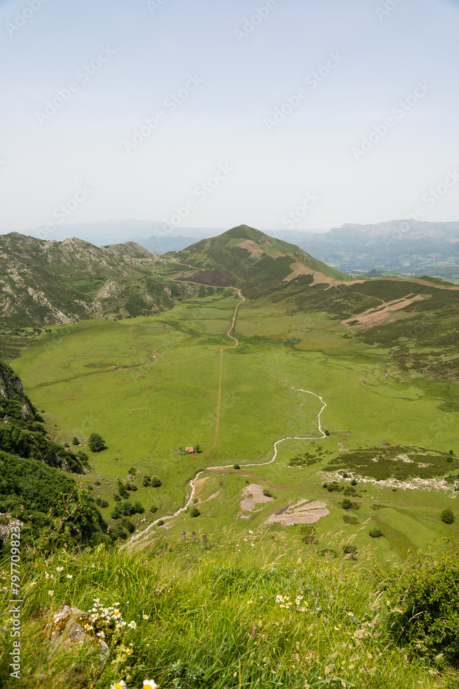 Fototapeta premium A large, grassy field with a mountain in the background Enol lakes in covadonga asturias