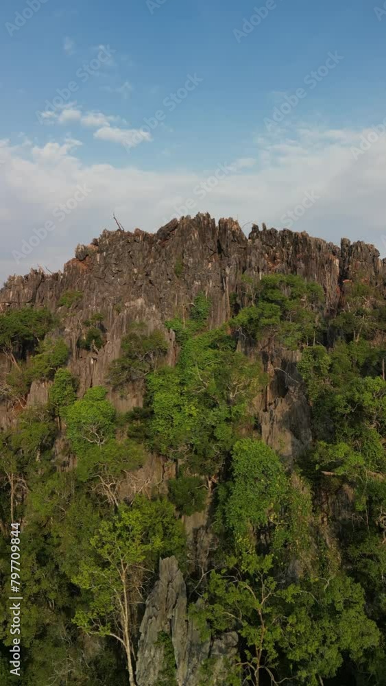 Aerial view of a group of monkeys on a mountain in O Phang Nga National Park