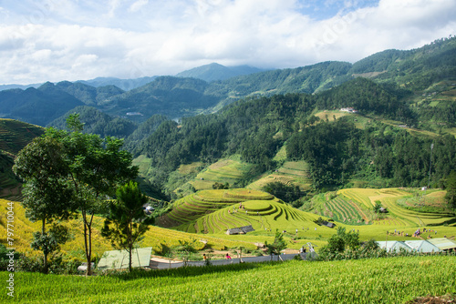Fotomural Overlooking the amazing rice terraces of Mu Cang Chai, Yen Bai, Vietnam
