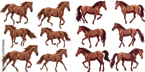 Horse poses. Wild horses walking or gallop running pose