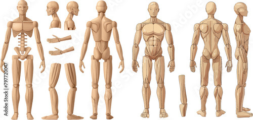 Wooden manikin. Wood man human anatomy statue, handmade puppet toys men figure mannequin doll with hands © ZinetroN