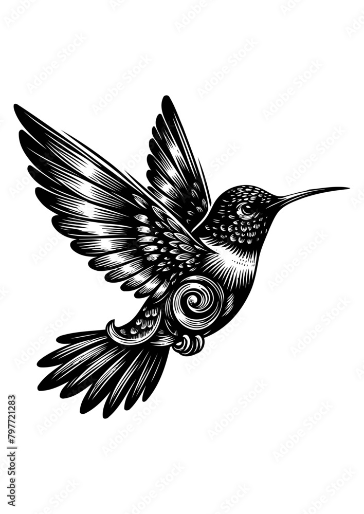Obraz premium hummingbird vector